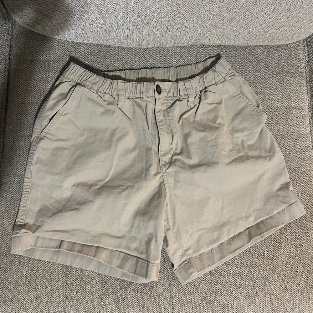 Chubbies size M 5.5 inseam